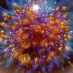 صورة المستخدم الرمزية