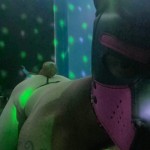 PuppyKry
