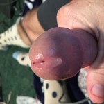 صورة المستخدم الرمزية