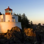 صورة المستخدم الرمزية