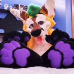 The Pineapple Fox