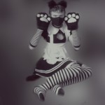 catboy2003