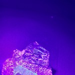 صورة المستخدم الرمزية