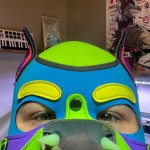 Avatar Pengguna