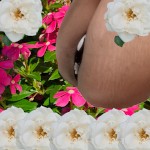صورة المستخدم الرمزية