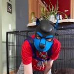PupSiren