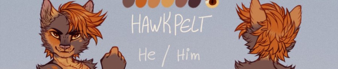 Hawkpeltthecat