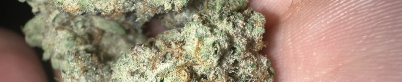 Jhonni Haze
