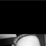 Avatar del Usuario