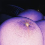 Avatar Utente