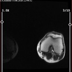 CD Luna