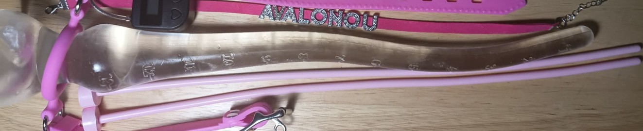 avalonou2