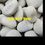 صورة المستخدم الرمزية