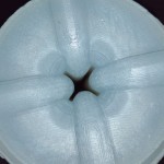 صورة المستخدم الرمزية