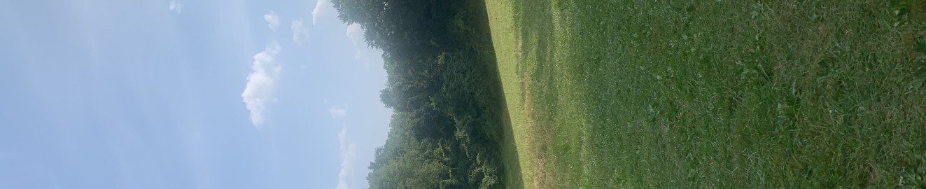 SolosSpace