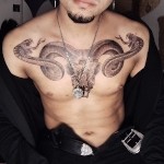 Julius satyros