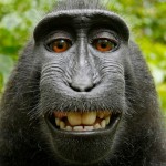 صورة المستخدم الرمزية