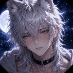 Avatar del Usuario