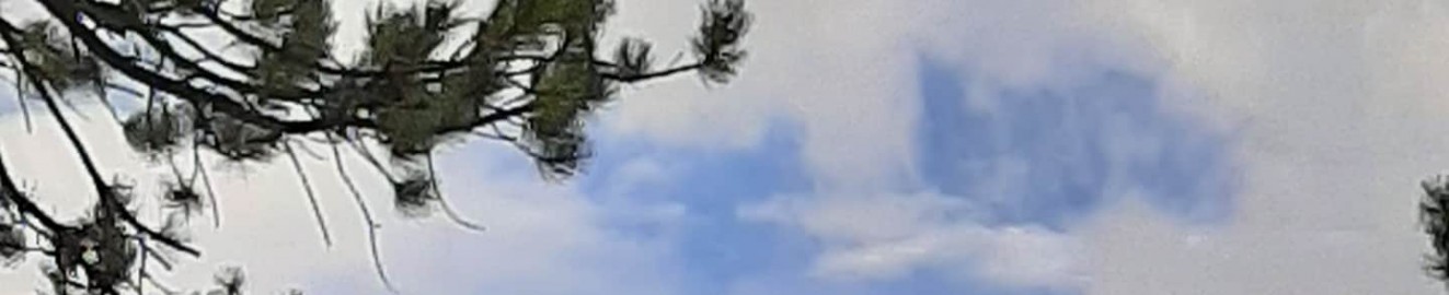 Sevans Heavens