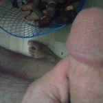 صورة المستخدم الرمزية