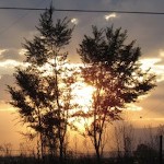 صورة المستخدم الرمزية