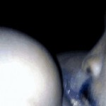 صورة المستخدم الرمزية