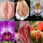 صورة المستخدم الرمزية