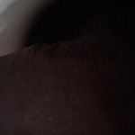 صورة المستخدم الرمزية