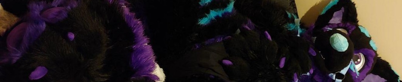DovTheHusky