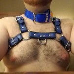 JHarness