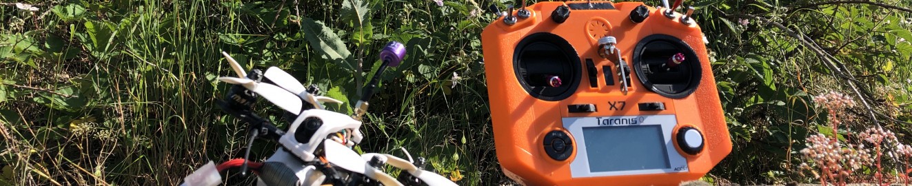 Sebi87FPV