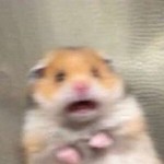 صورة المستخدم الرمزية