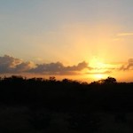 صورة المستخدم الرمزية