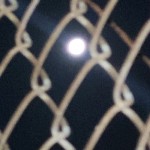 صورة المستخدم الرمزية