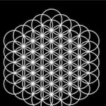 صورة المستخدم الرمزية