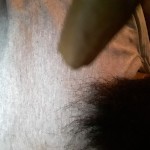 صورة المستخدم الرمزية