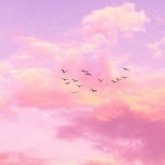 صورة المستخدم الرمزية