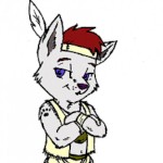 Chalupy