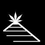 صورة المستخدم الرمزية