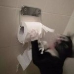 صورة المستخدم الرمزية
