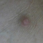 Avatar Pengguna