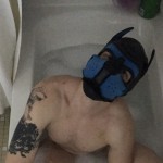 صورة المستخدم الرمزية