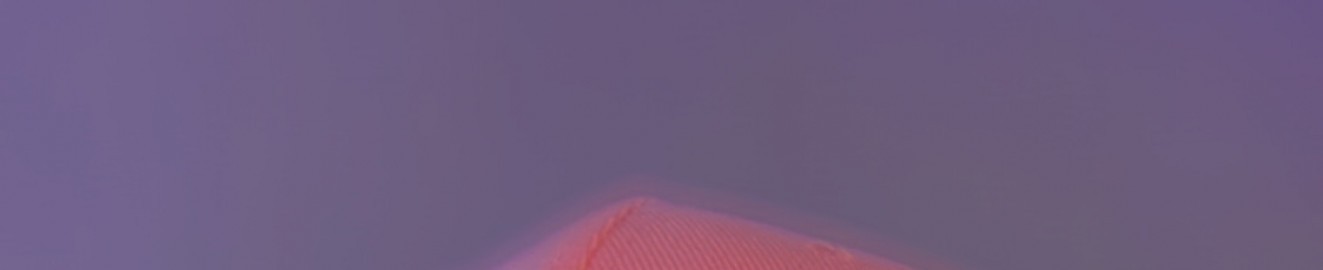 Lau_Cam