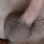 WalterOcconer