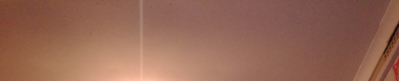 Angelbumssam