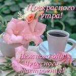 صورة المستخدم الرمزية