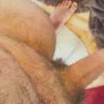 Avatar Utente
