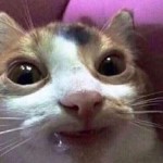 PudloB