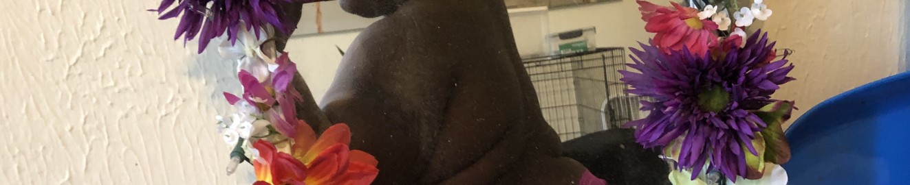 thickyricky86
