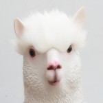 sthrg